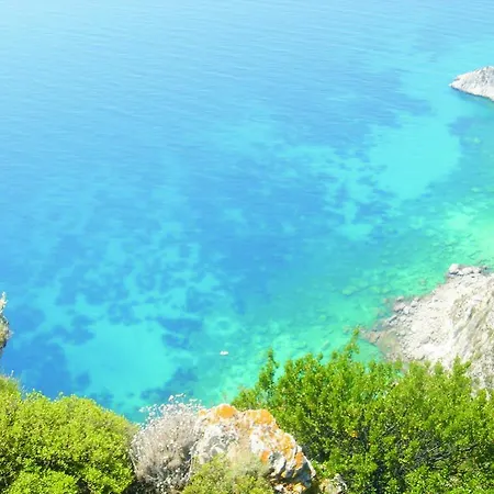 Mediterranean Blue ホテル